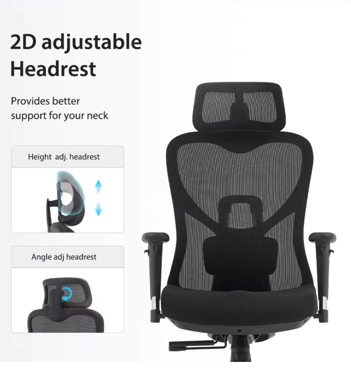 Ergo Lite Chair