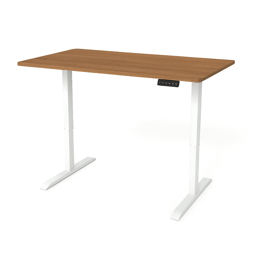 Flake Motorized Desk