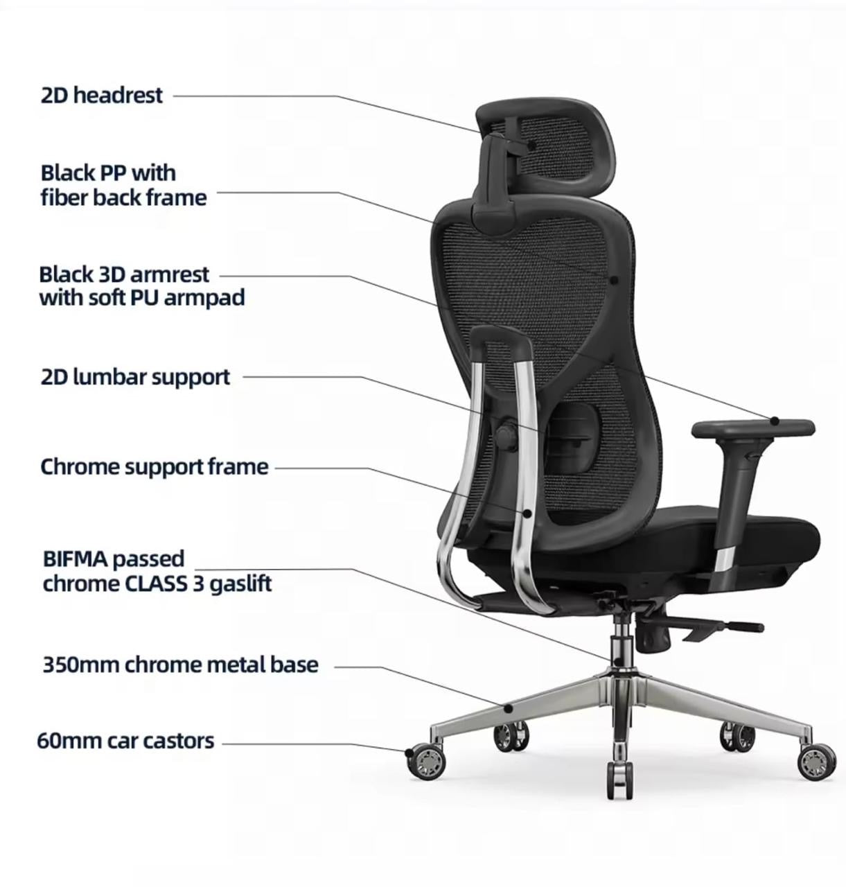 Ergo Lite Chair