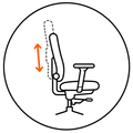 Adjustable Back 