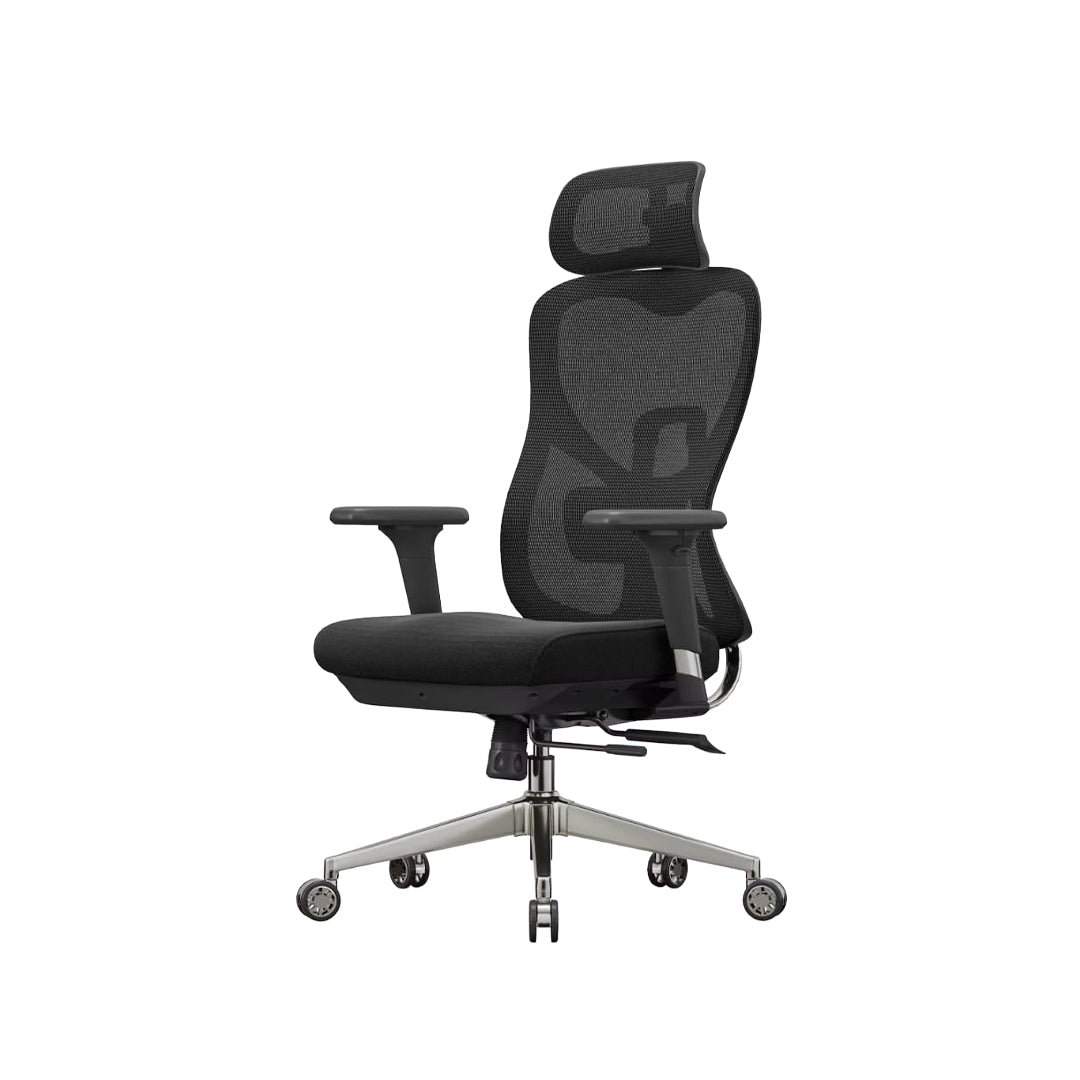 Ergo Lite Chair