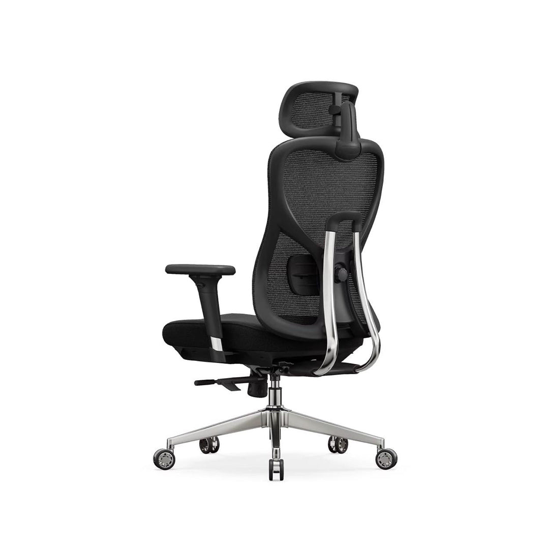 Ergo Lite Chair
