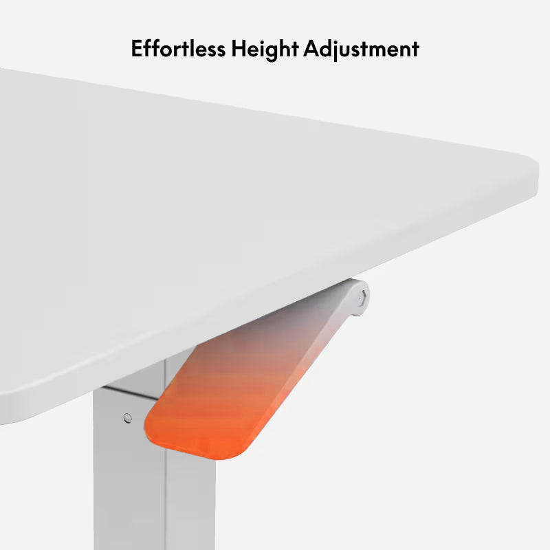 Manual Sit & Standing Desk - FlakeTech 1