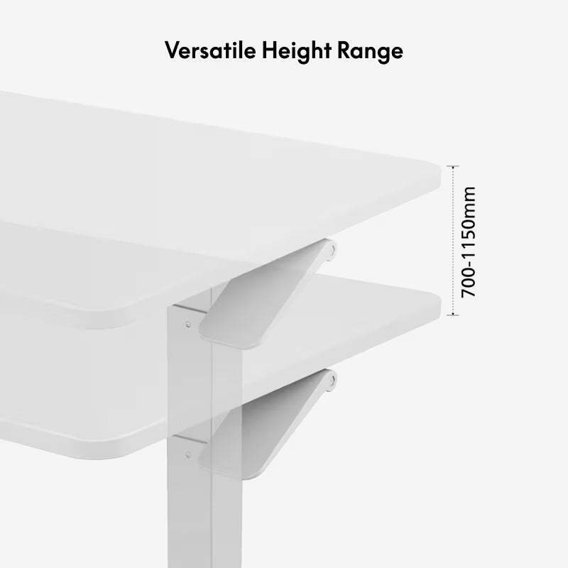 Manual Sit & Standing Desk - FlakeTech