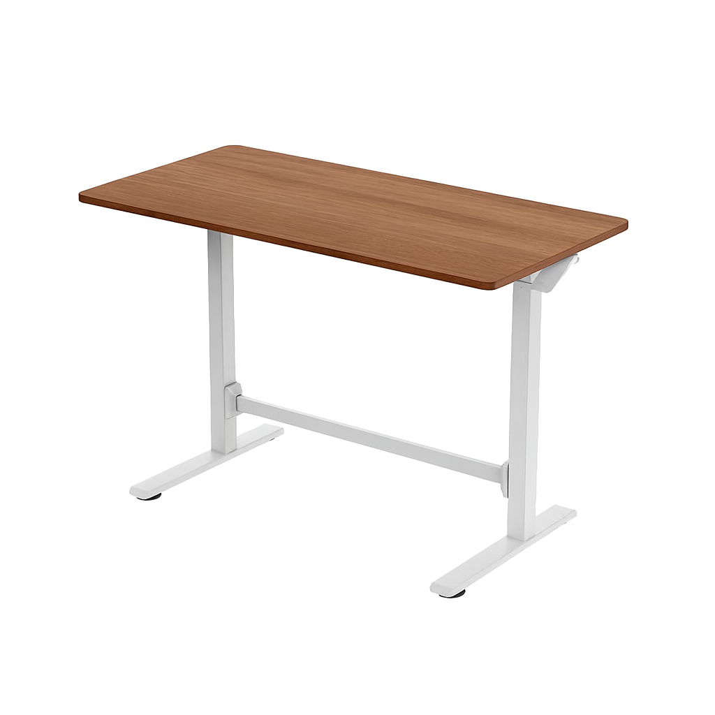 Manual Sit & Standing Desk