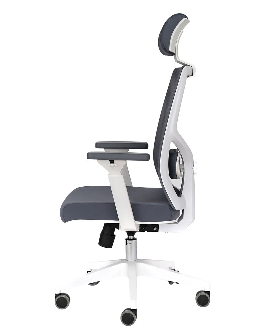 Elite Chair