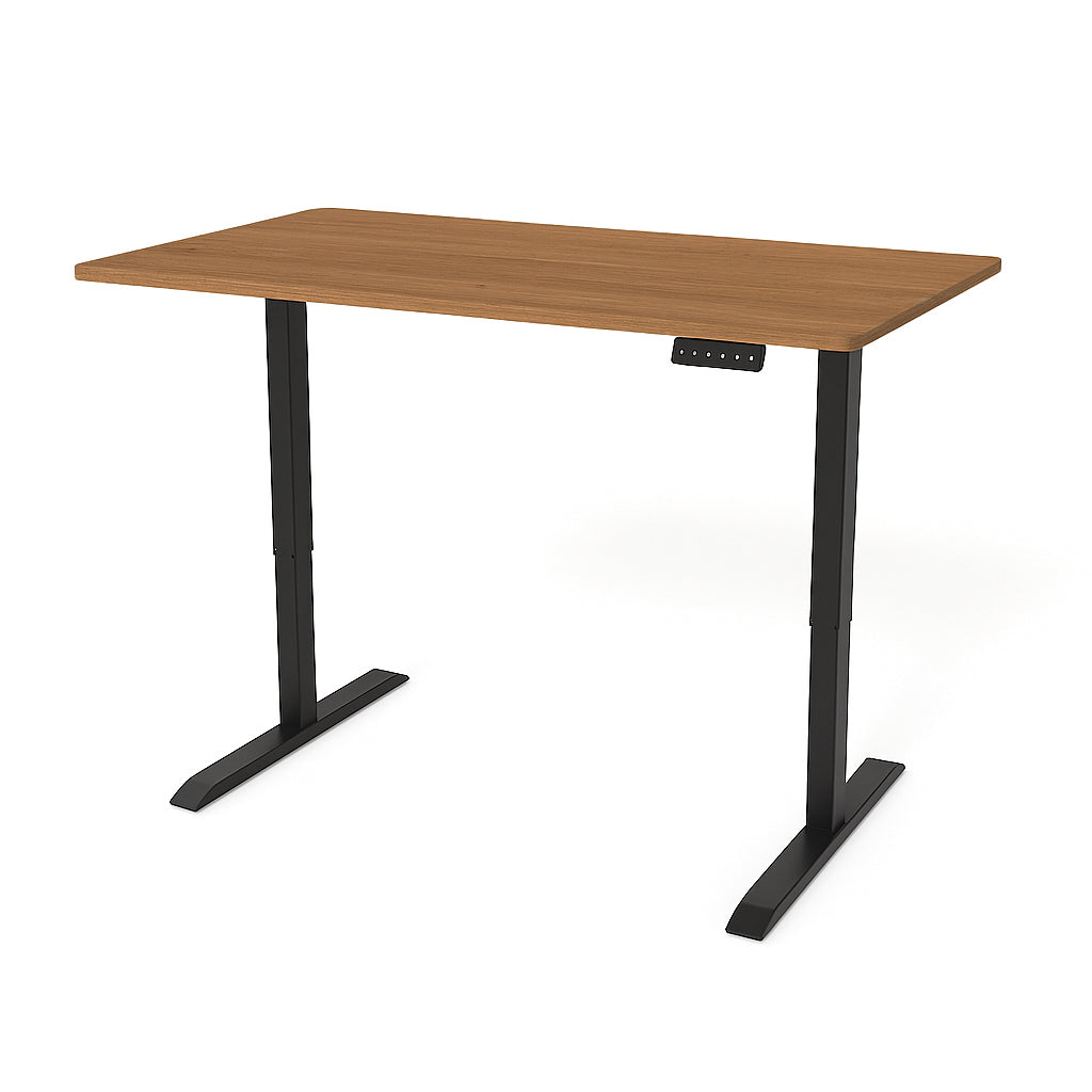 Flake Motorized Desk